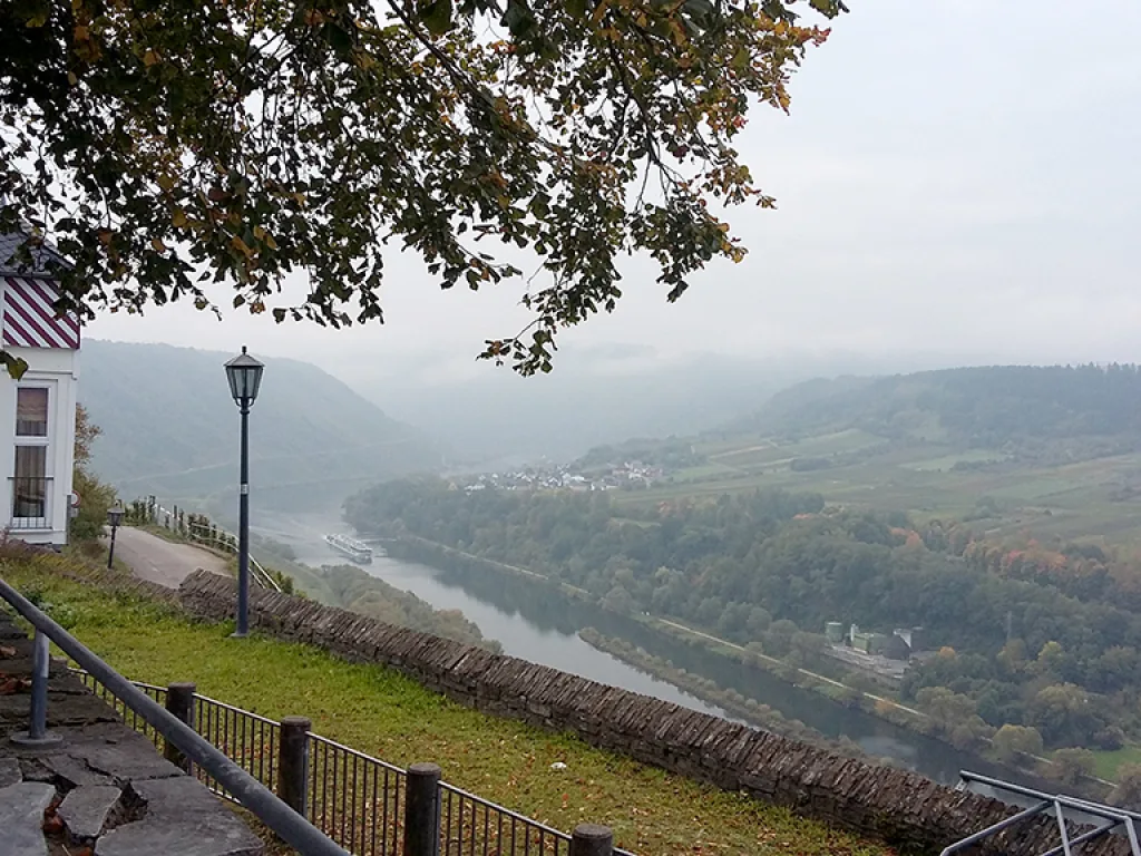Blick über die Mosel im Morgennebel.